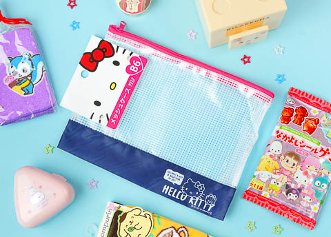 Sanrio Character Mesh Pouch