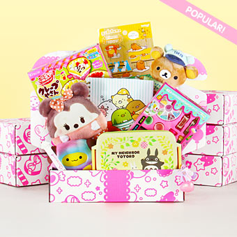 Kawaii Box Monthly Cute Subscription Box From Japan