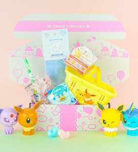 Kawaii Box – Monthly Cute Subscription Box from Japan